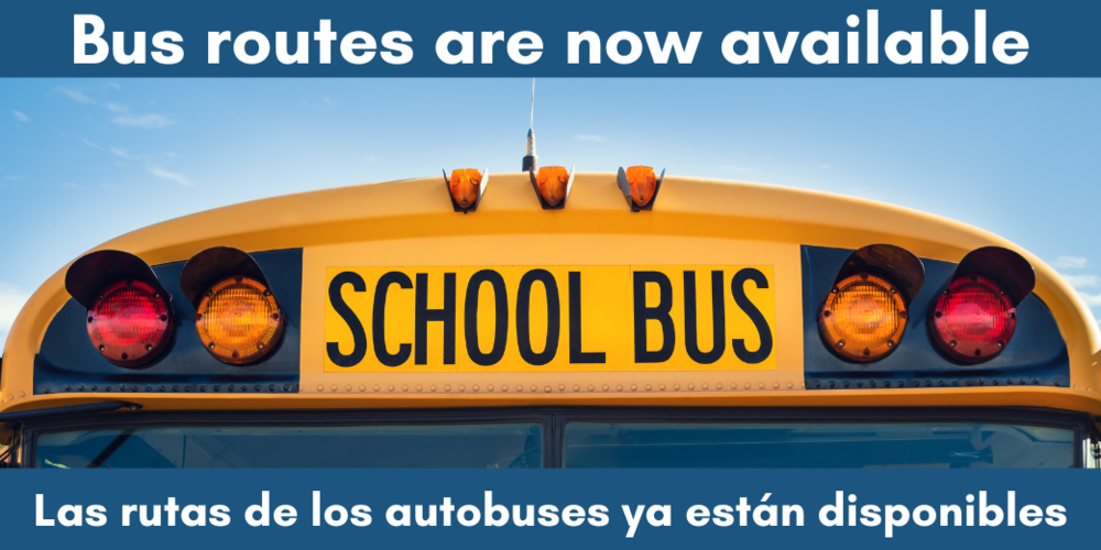 Top of school bus with text: Bus routes are now available