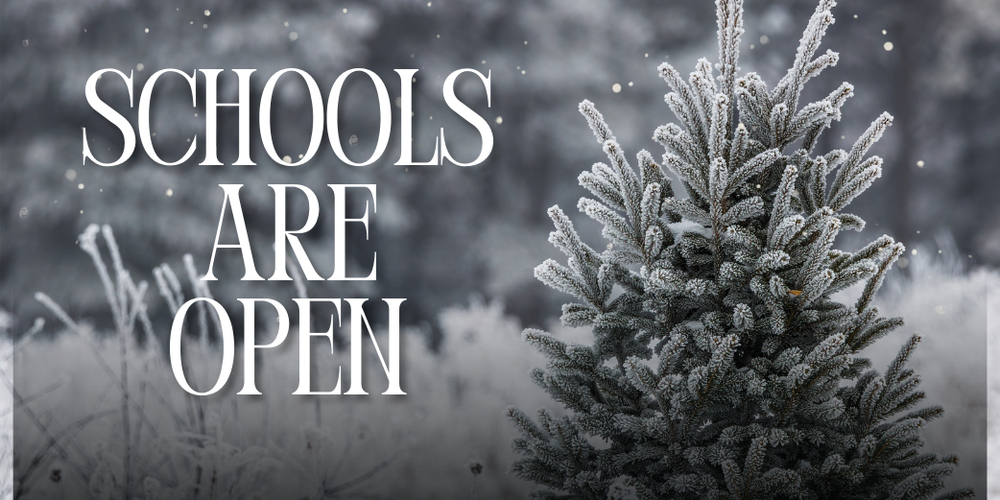 tree covered in snow with text: Schools are open