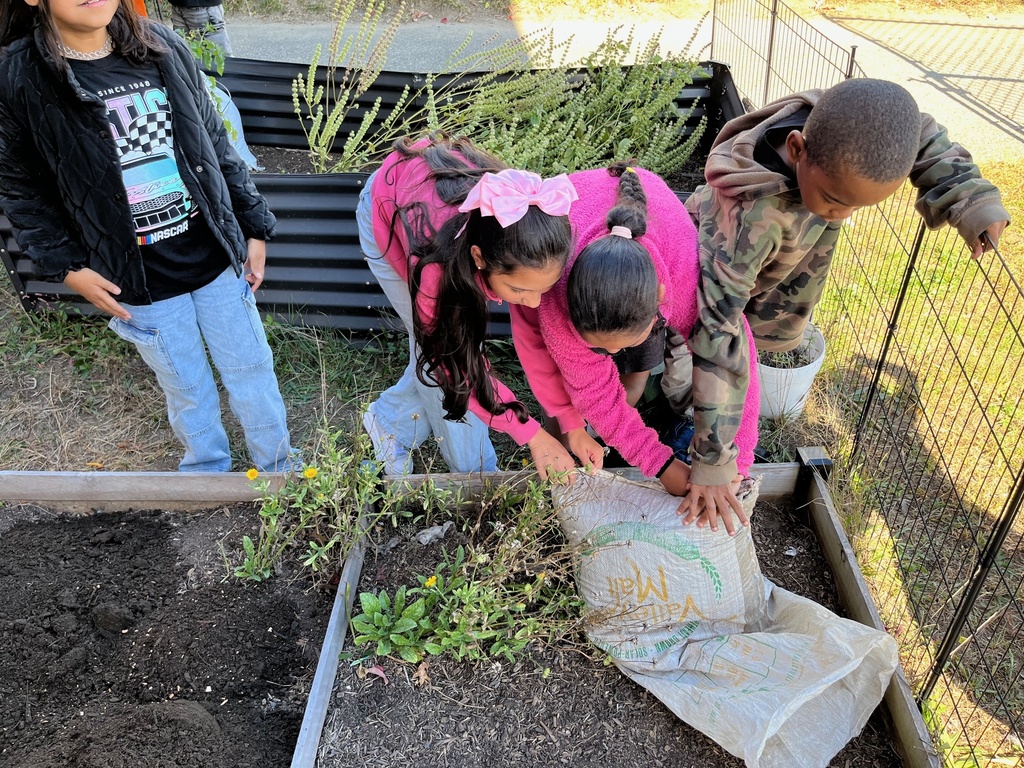 group of students planting new soil