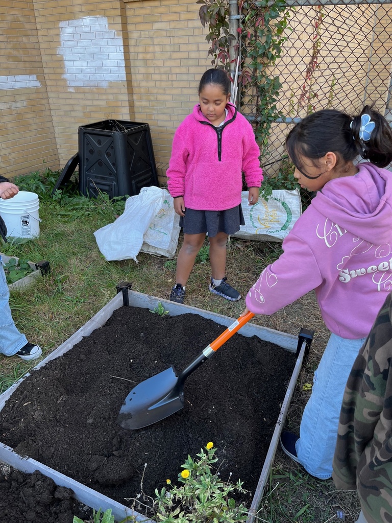 group of students planting new soil