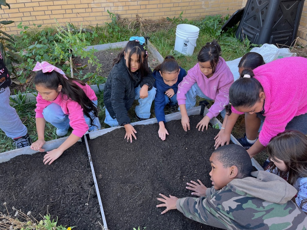 group of students planting new soil