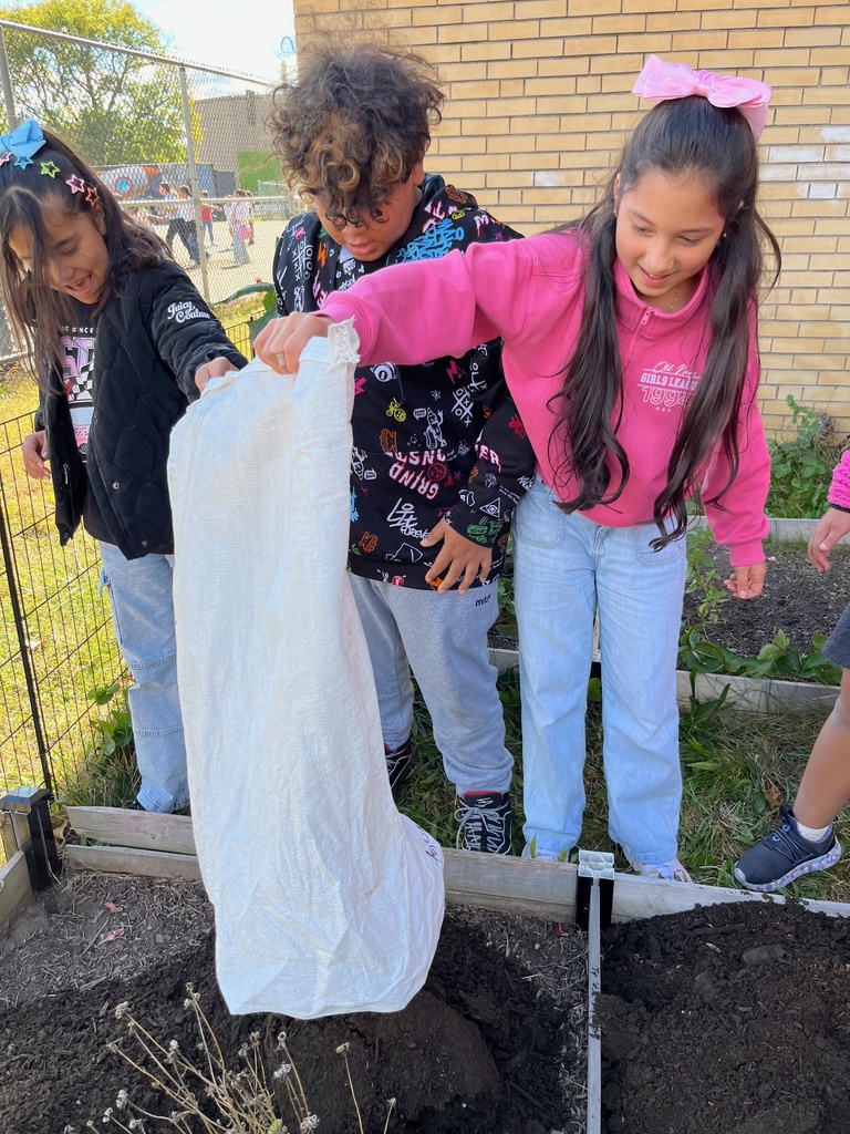 group of students planting new soil