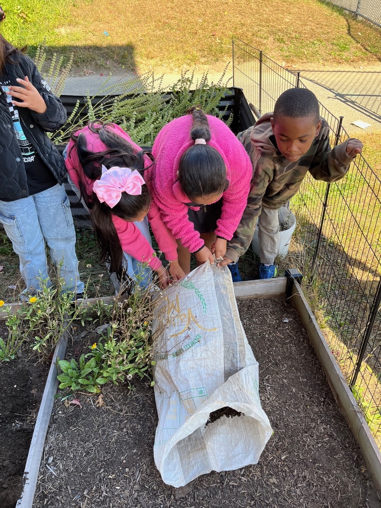 group of students planting new soil