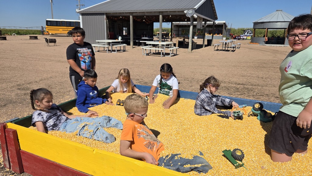 Second grade enjoyed their trip to the pumpkin patch.