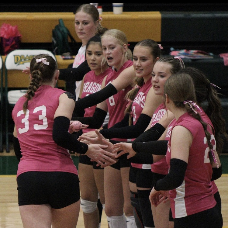 girls stand in line and high five their teammate