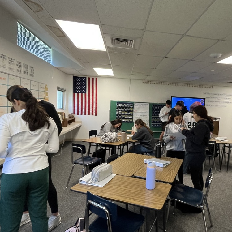 students investigating 