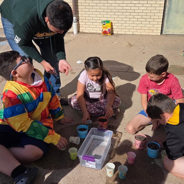 Students look at plants