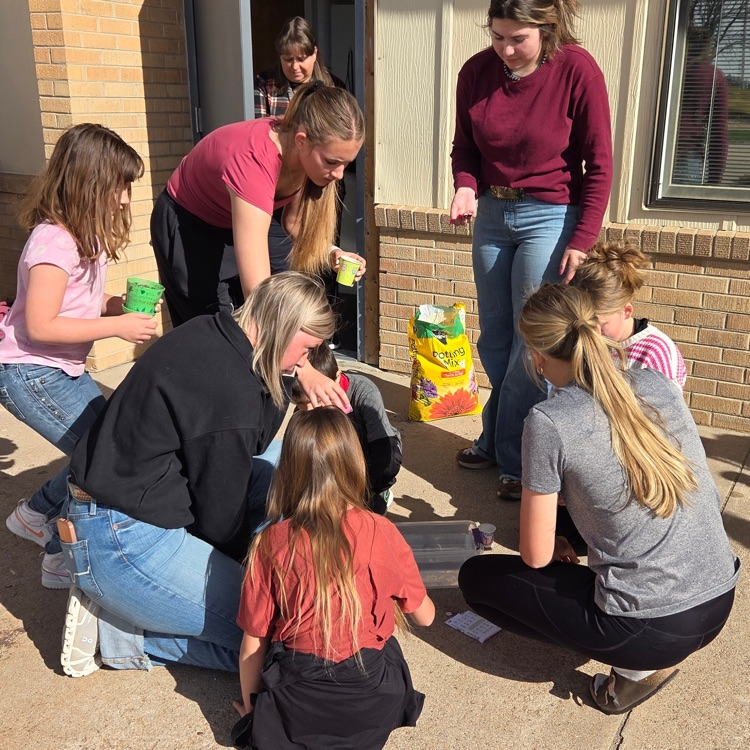 Students look at plants