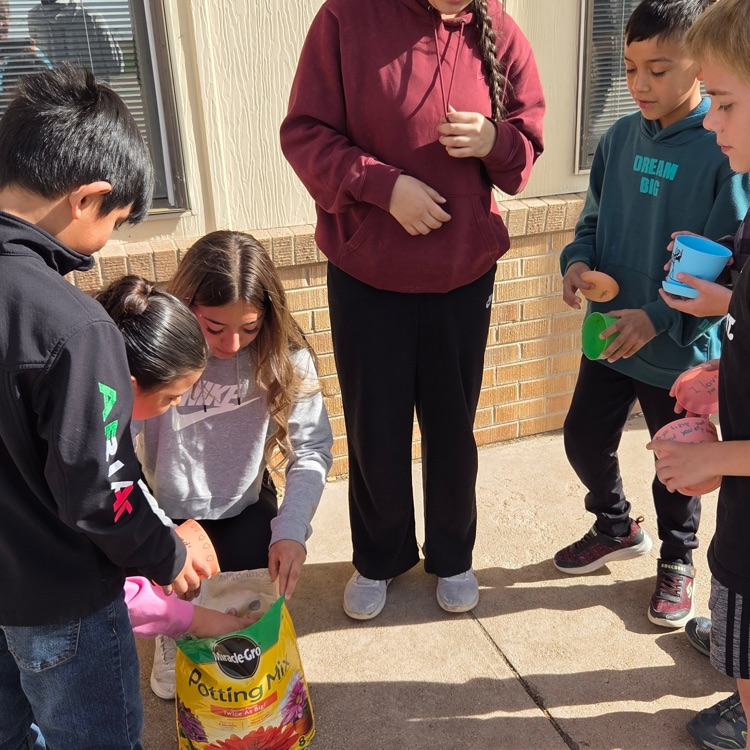 Students look at plants