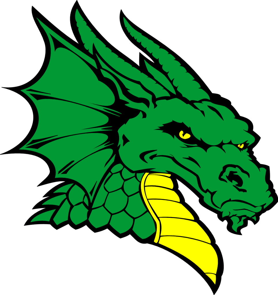 Green and Gold Dragon Head