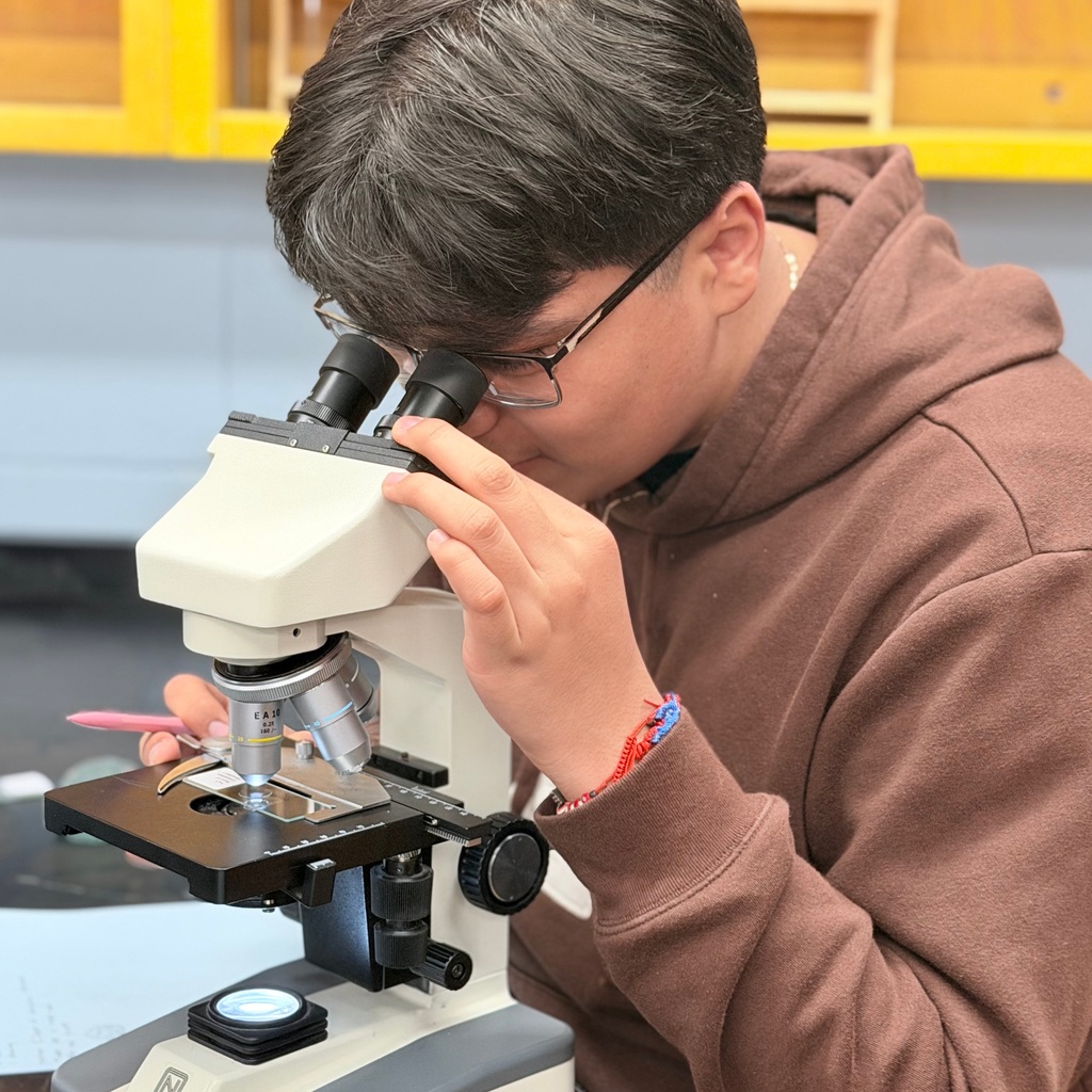 Student looking at a microscope