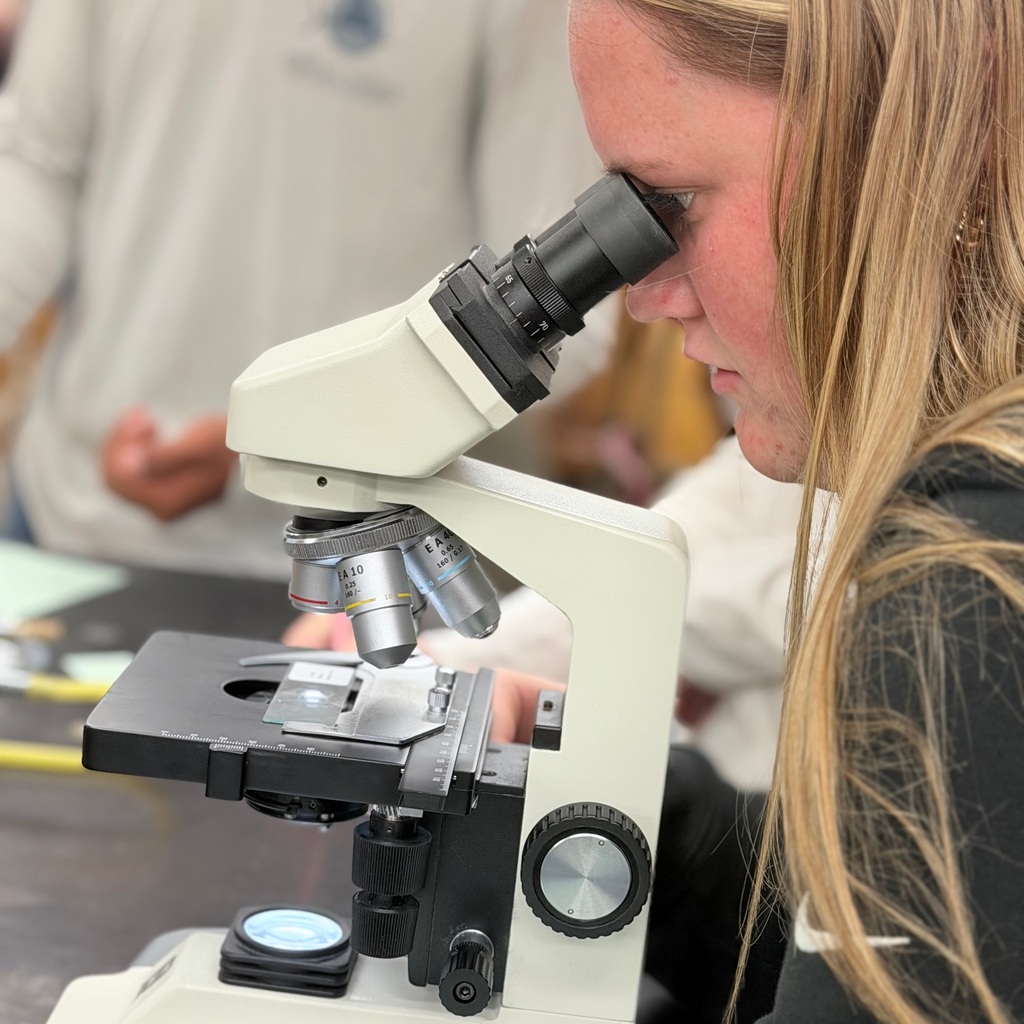 Student looking at a microscope