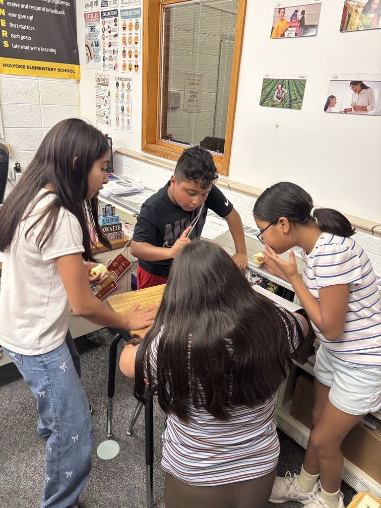 š Fifth graders tackled economics with a football game-day challenge! With a pretend $1,000 budget, teams planned their purchases while learning about goods and services, needs and wants, and producers and consumers. They practiced teamwork and discovered how a limited budget means making tough choices! šš