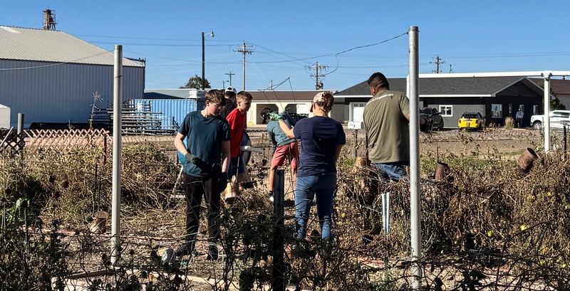 students working in the community garden