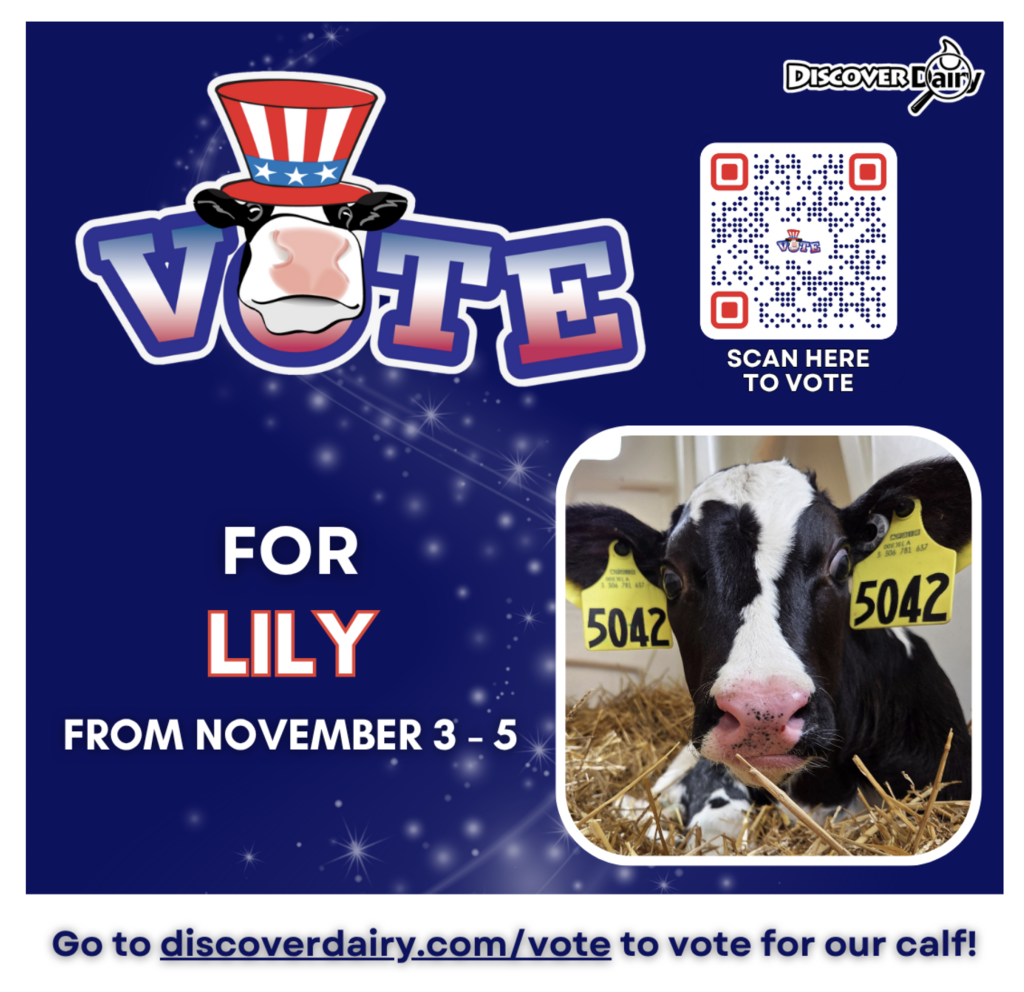 vote for Lily