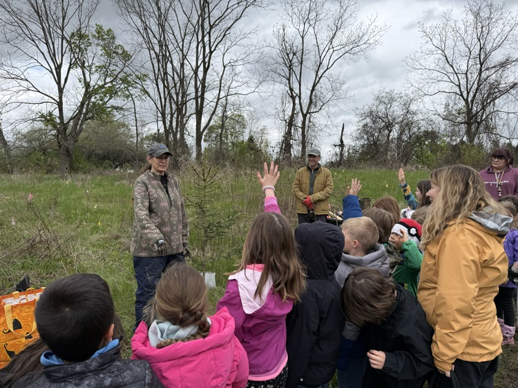 tree planting