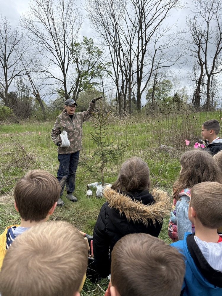 tree planting