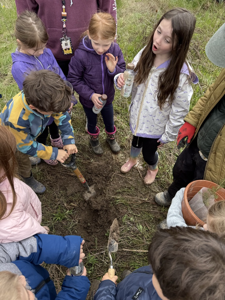 tree planting