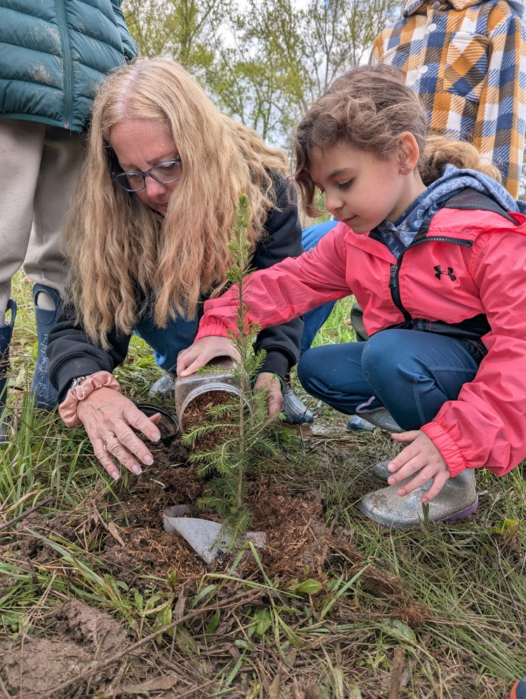 tree planting