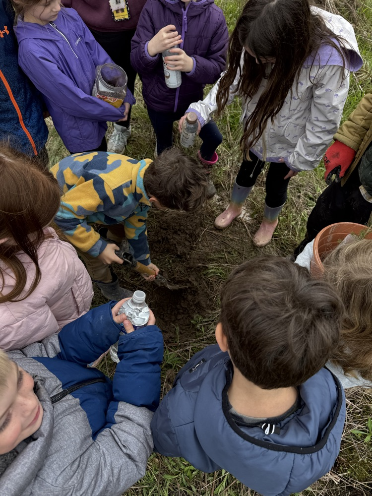 tree planting