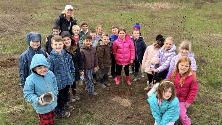 tree planting