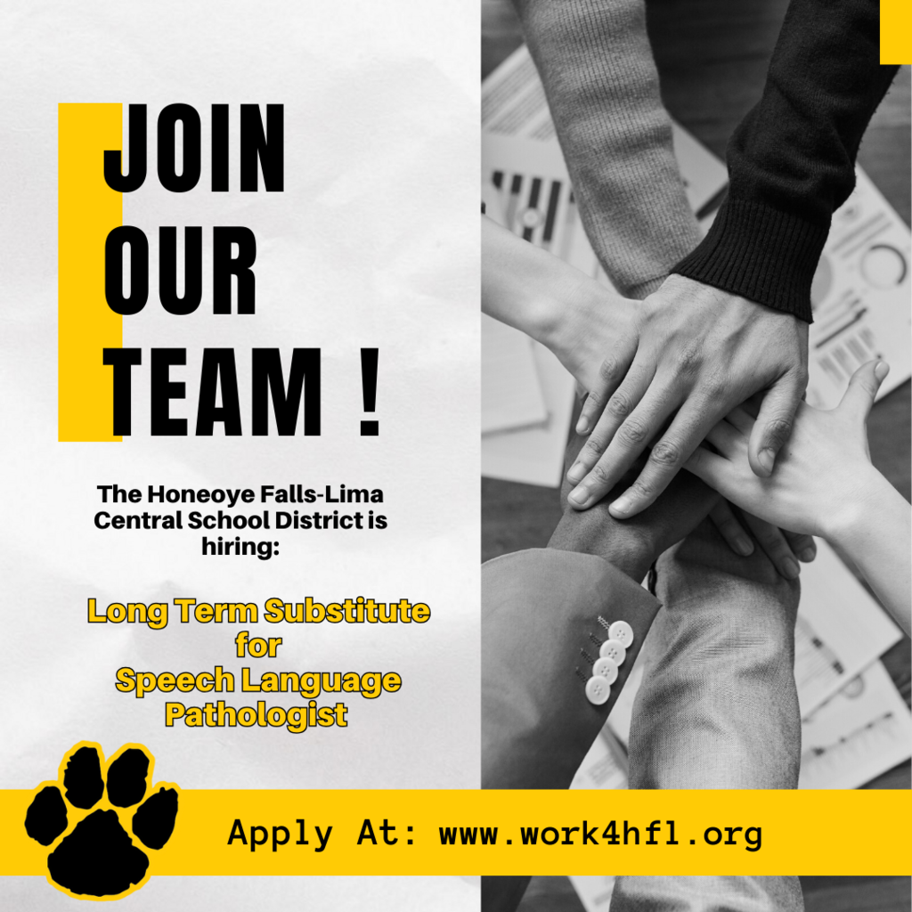 speech language pathologist