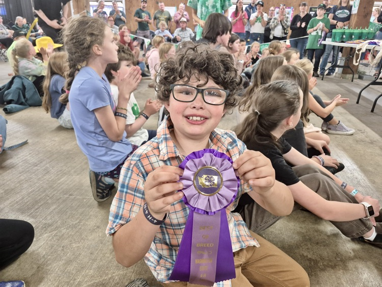 student at 4H competition 