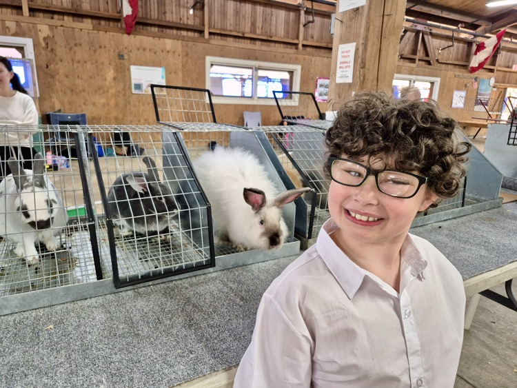 student at 4H competition 