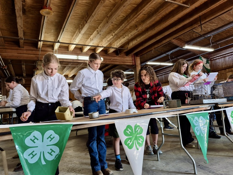 student at 4H competition 