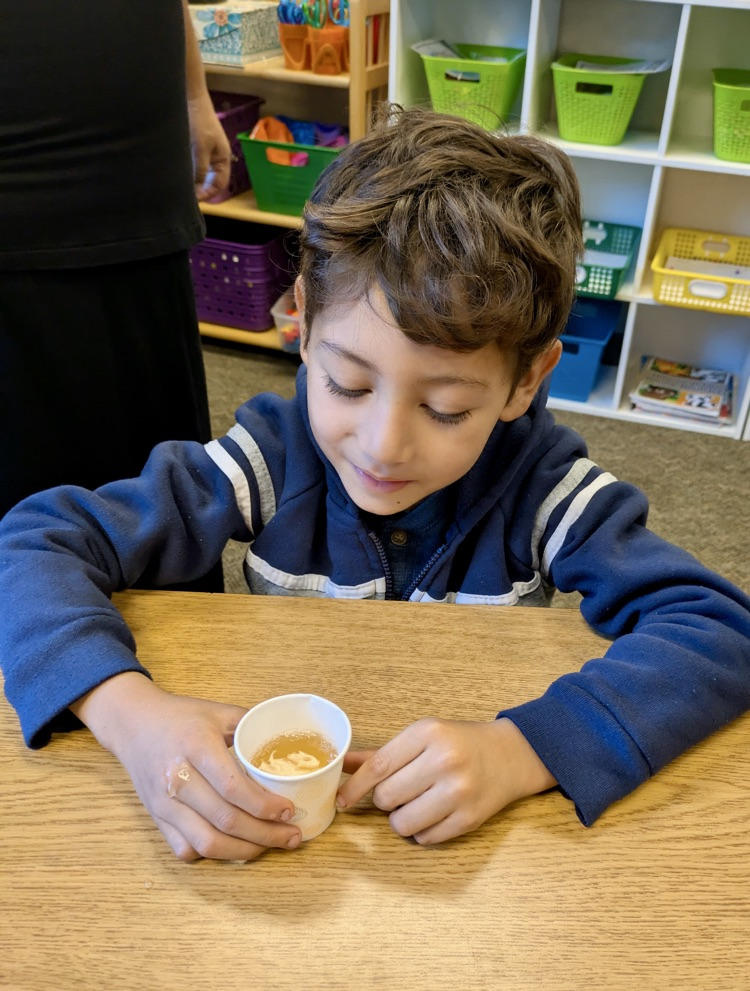 students trying nettle tea