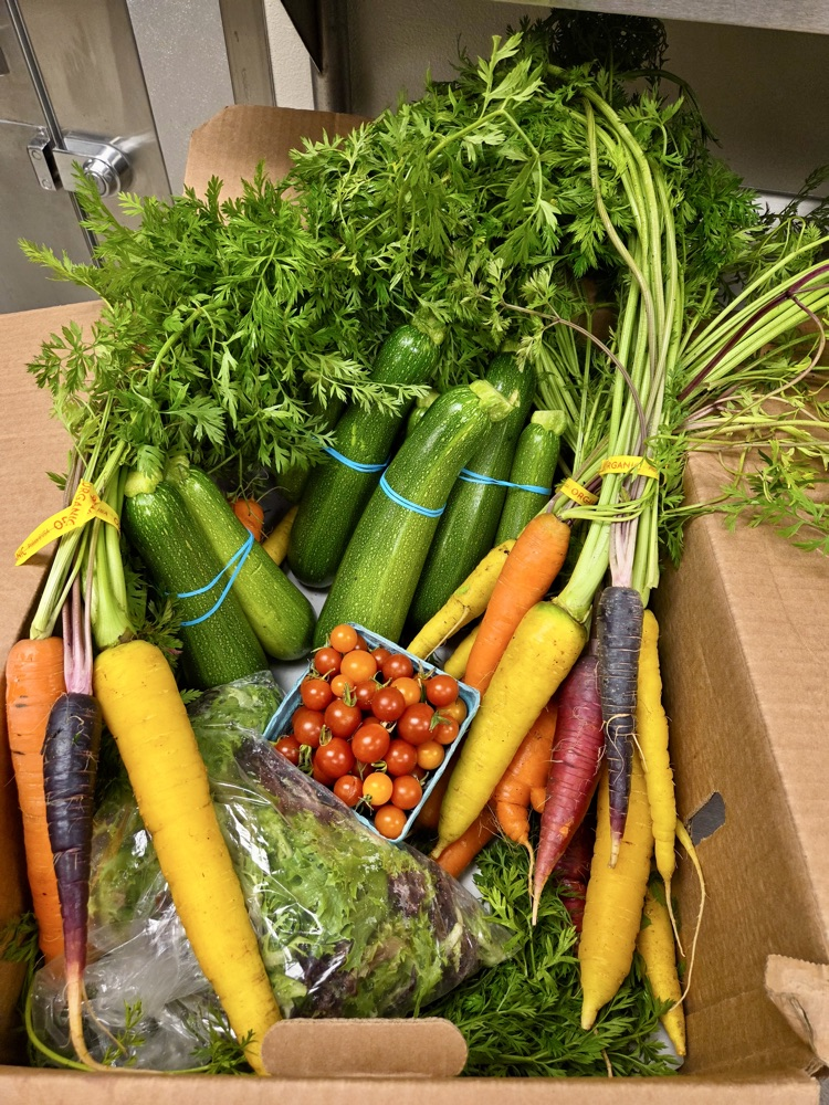 vegetables 