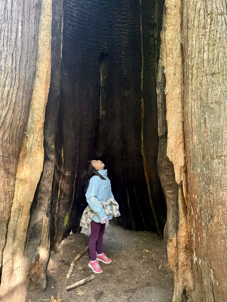 5th grade students at NatureBridge 