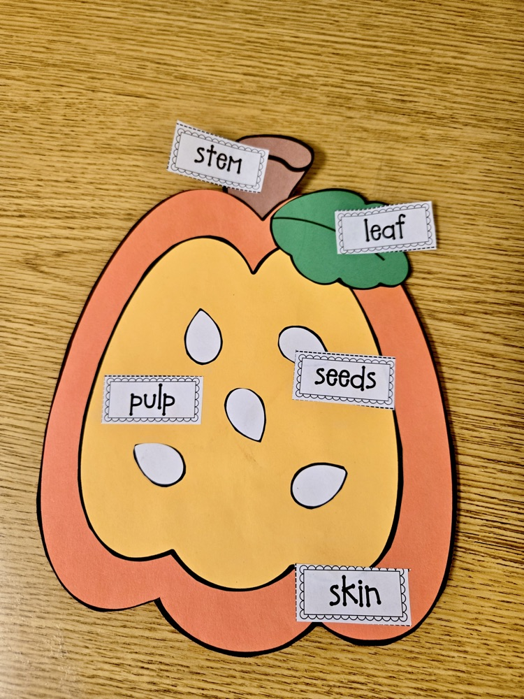 first grade pumpkin week 