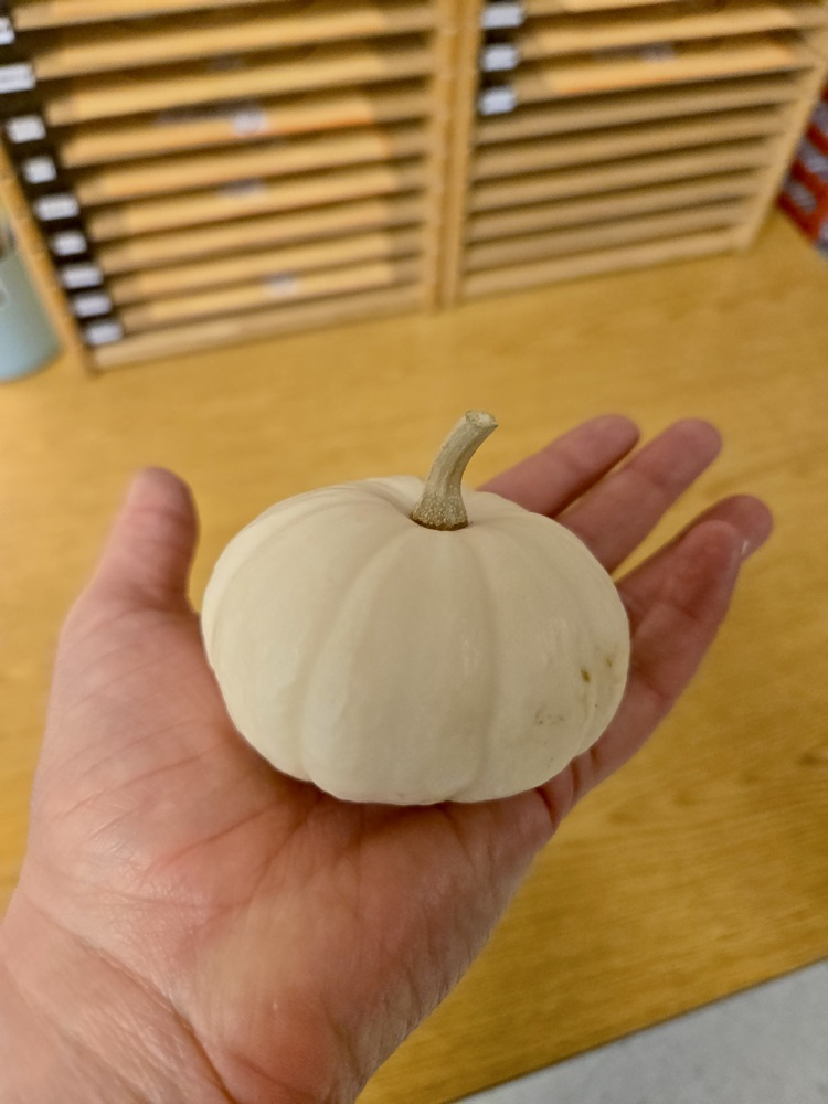 first grade pumpkin week 