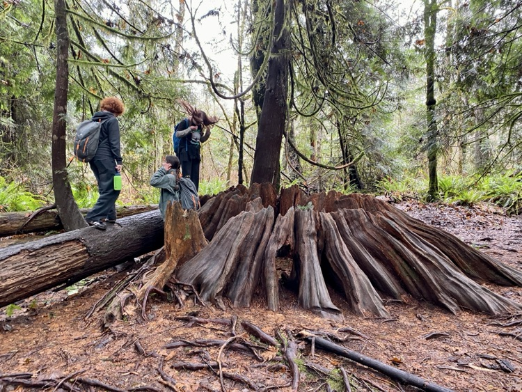 students on hiking trip