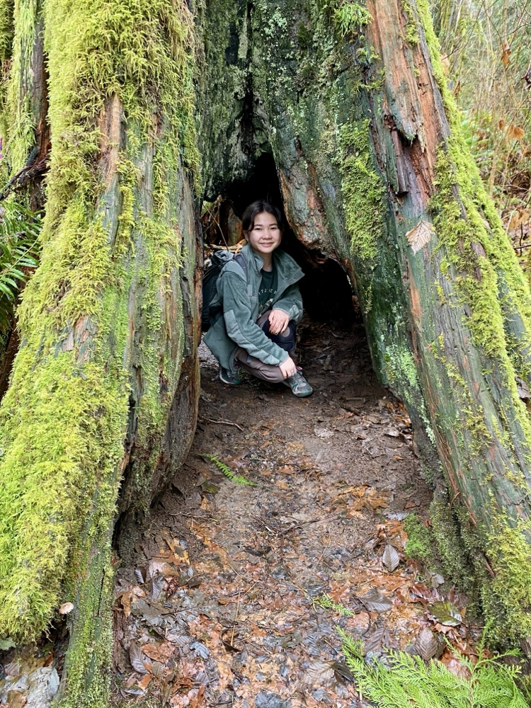 students on hiking trip