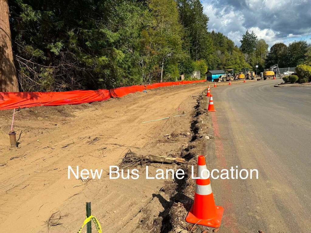 New Bus Lane Location