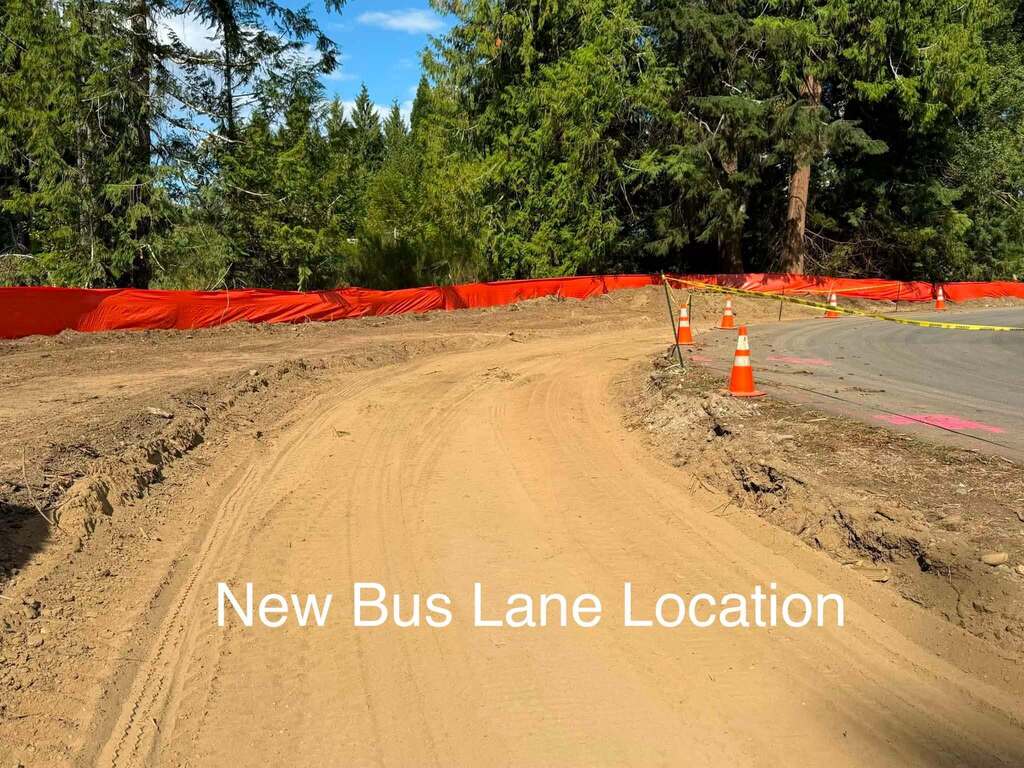 New Bus Lane Location