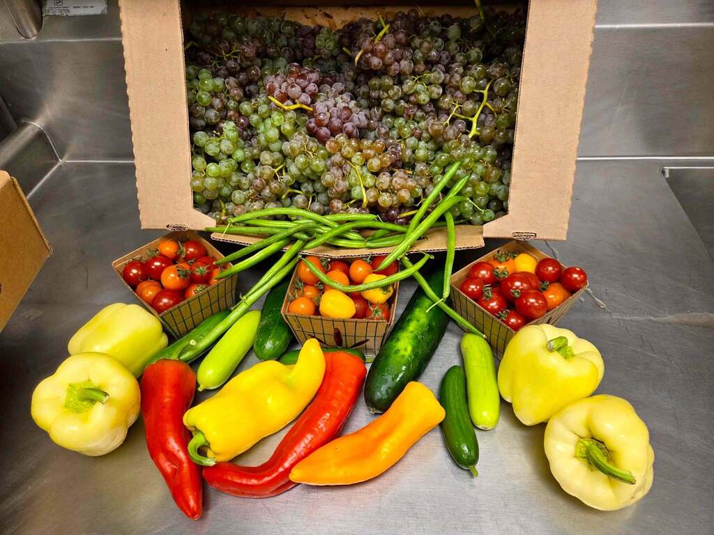 Fresh Veggies and Fruits