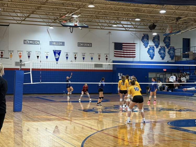 volleyball