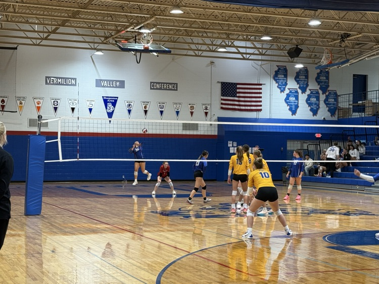 volleyball