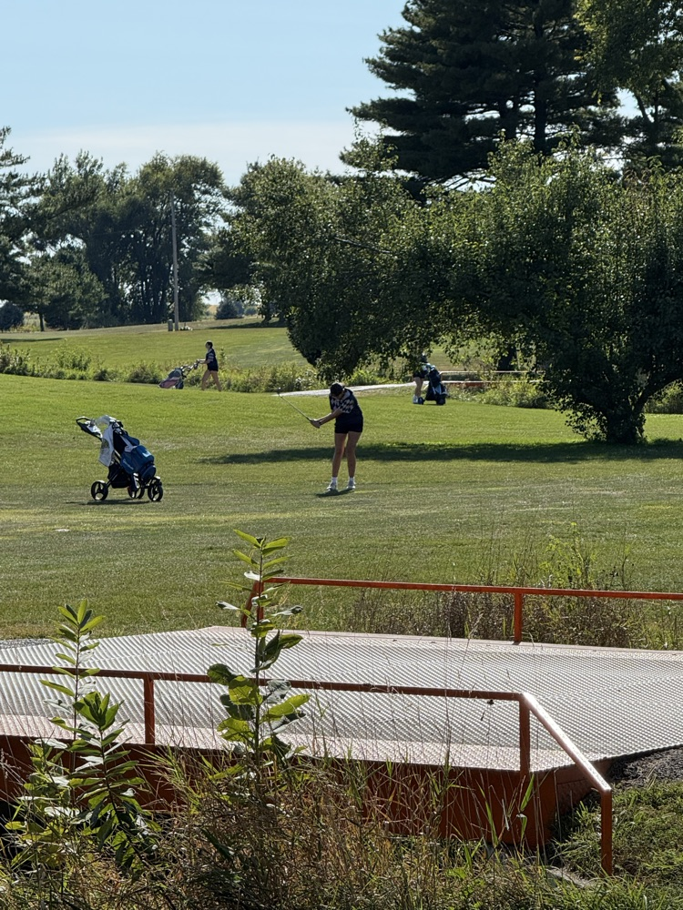 golfer