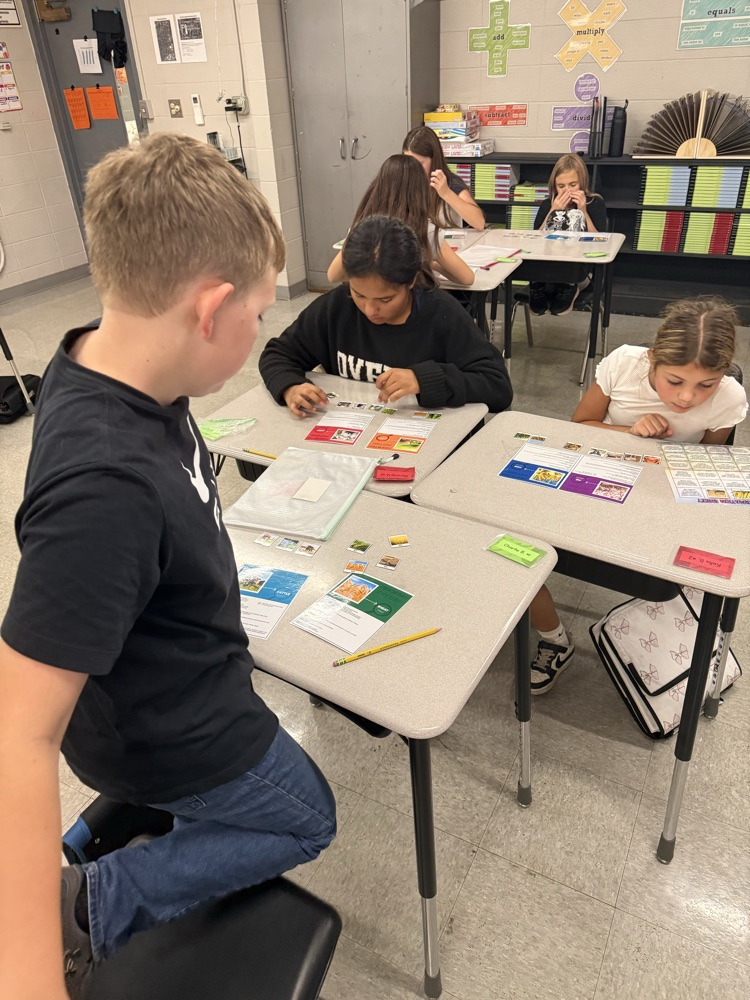Small group activity