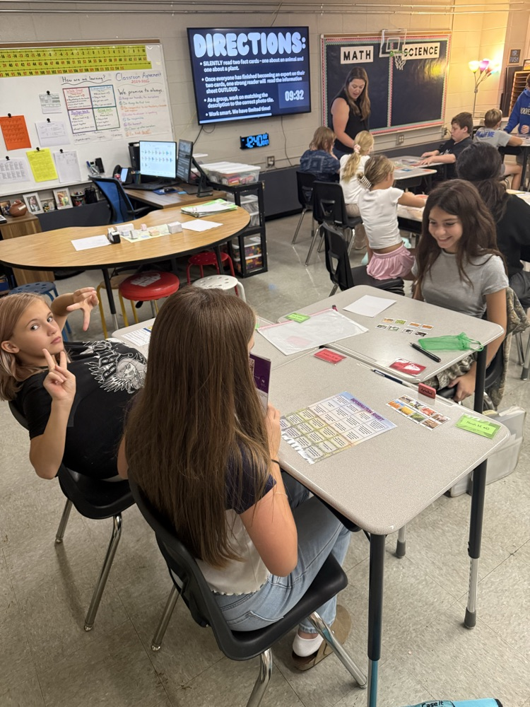 Small group activity
