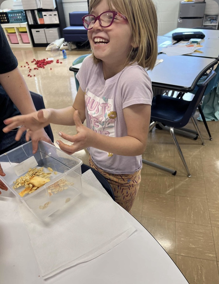 young girl laughing in response to the texture of inside the pumpkin