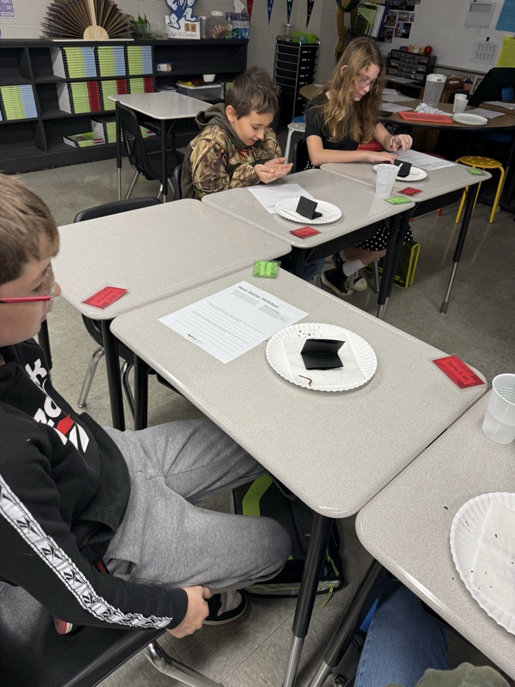 We were able to put our investigation skills to the test today while trying to find out if worms really eat dirt!! 🪱