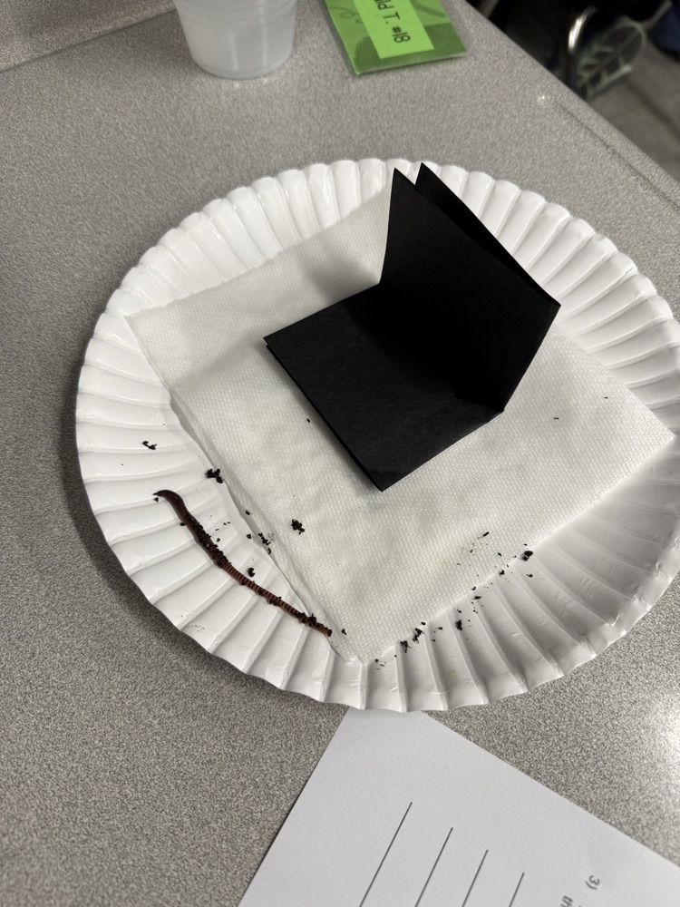 We were able to put our investigation skills to the test today while trying to find out if worms really eat dirt!! 🪱