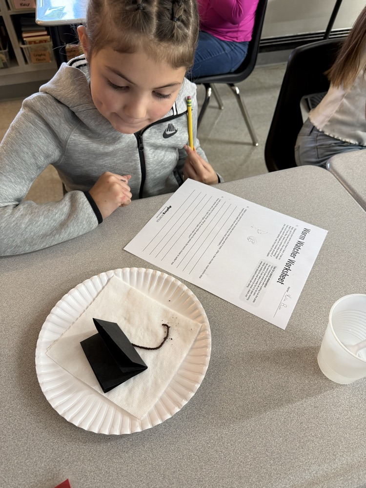 We were able to put our investigation skills to the test today while trying to find out if worms really eat dirt!! 🪱