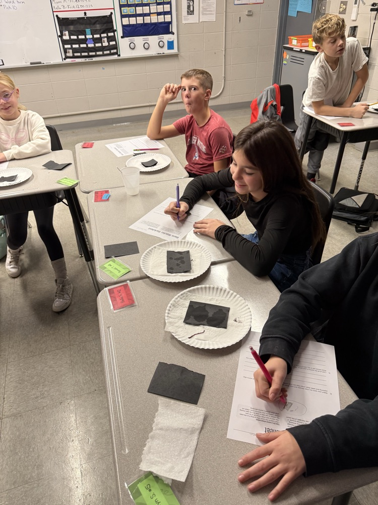 We were able to put our investigation skills to the test today while trying to find out if worms really eat dirt!! 🪱