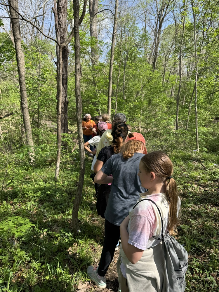 Outdoor School
